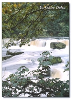 Yorkshire Dales (Aysgarth Falls) postcards